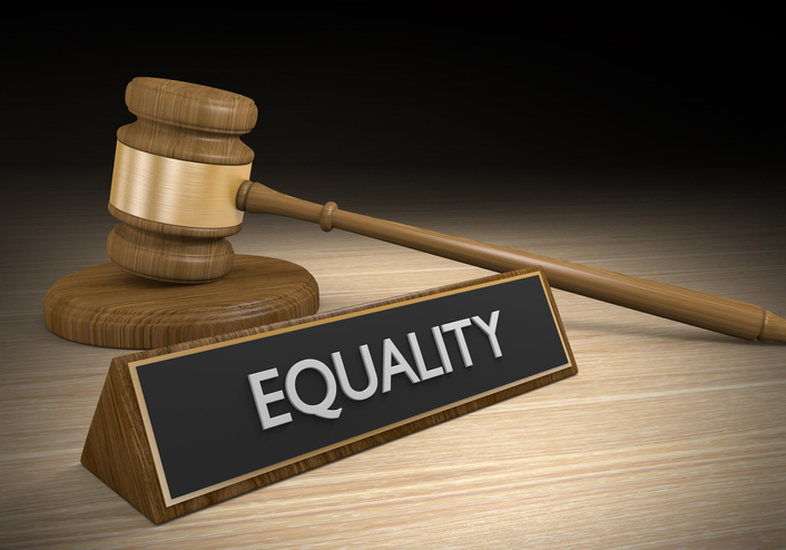 Equal Opportunity Act 2010 Purpose